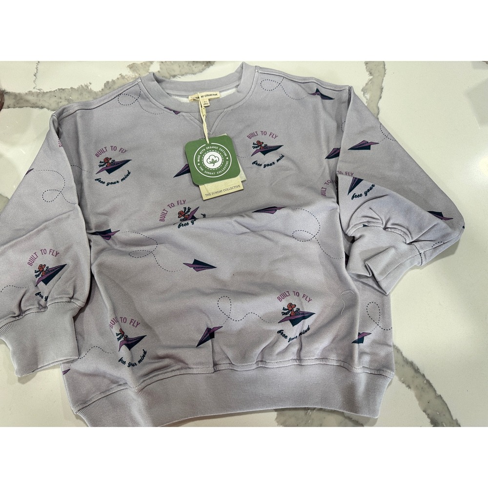 The Sunday Collective Kids Organic Cotton Built To Fly Sweatshirt Purple 6-7